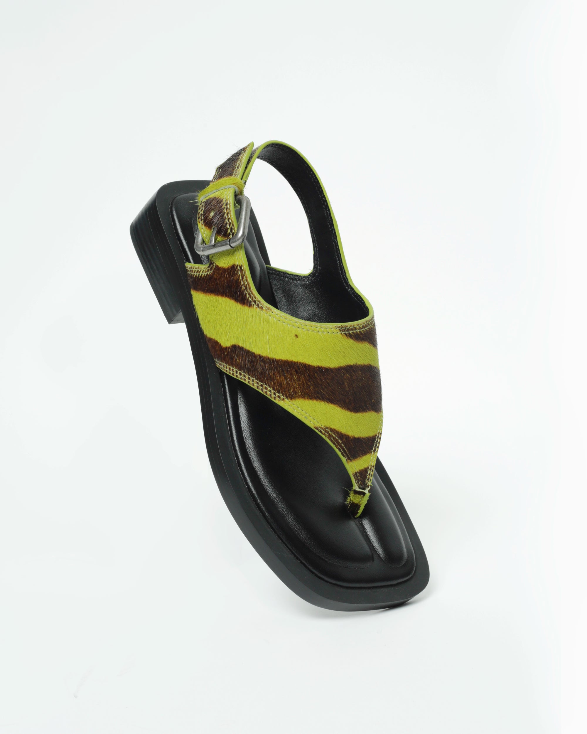 SAMGAK LIME ZEBRA PONY