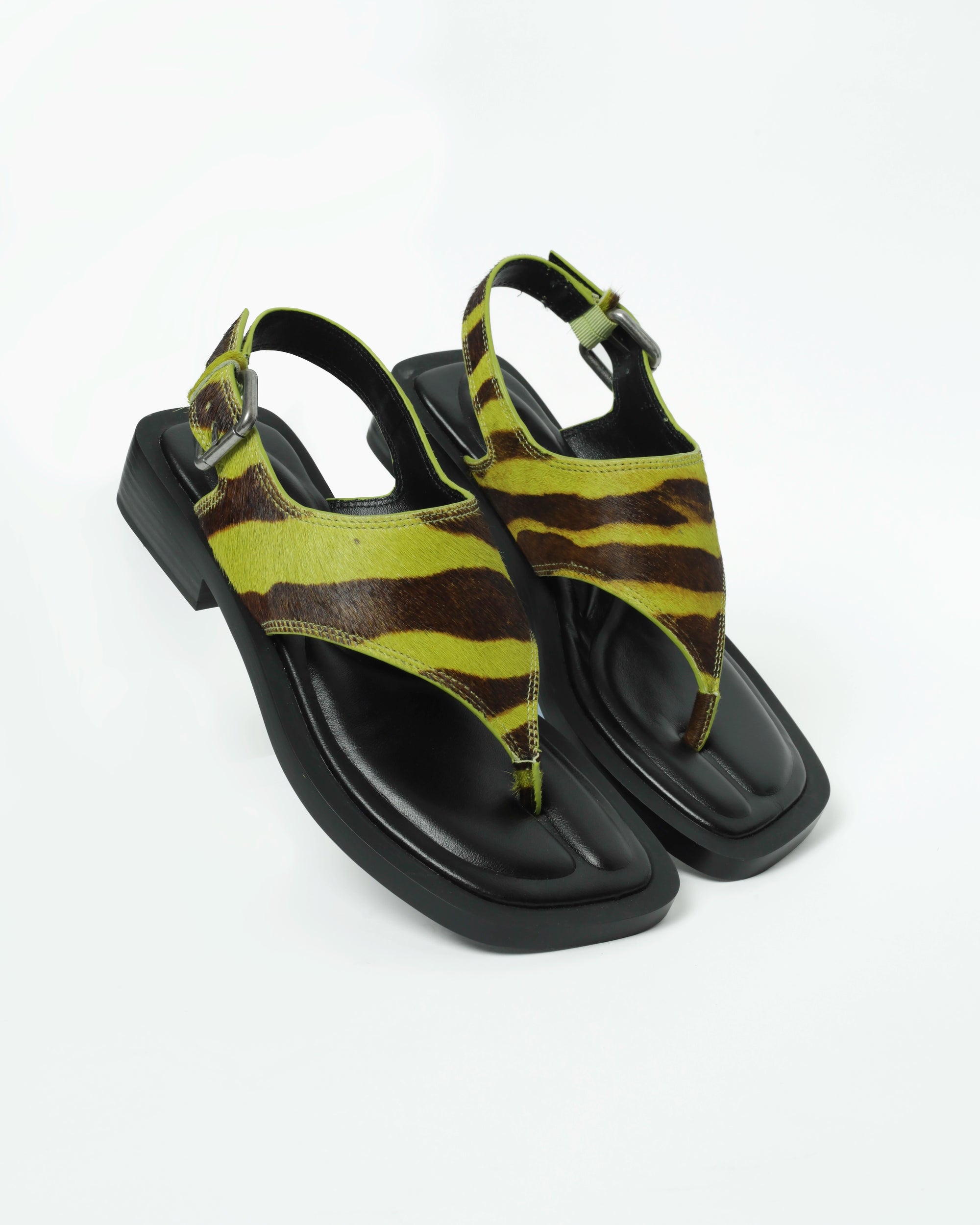 SAMGAK LIME ZEBRA PONY